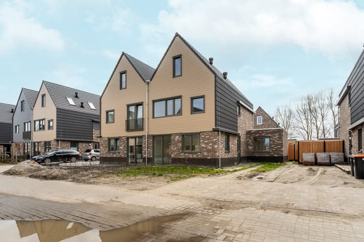 Foto 4 van Moerasorchidee 13