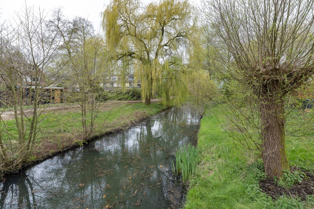 Foto 31 van Waterhoen 52