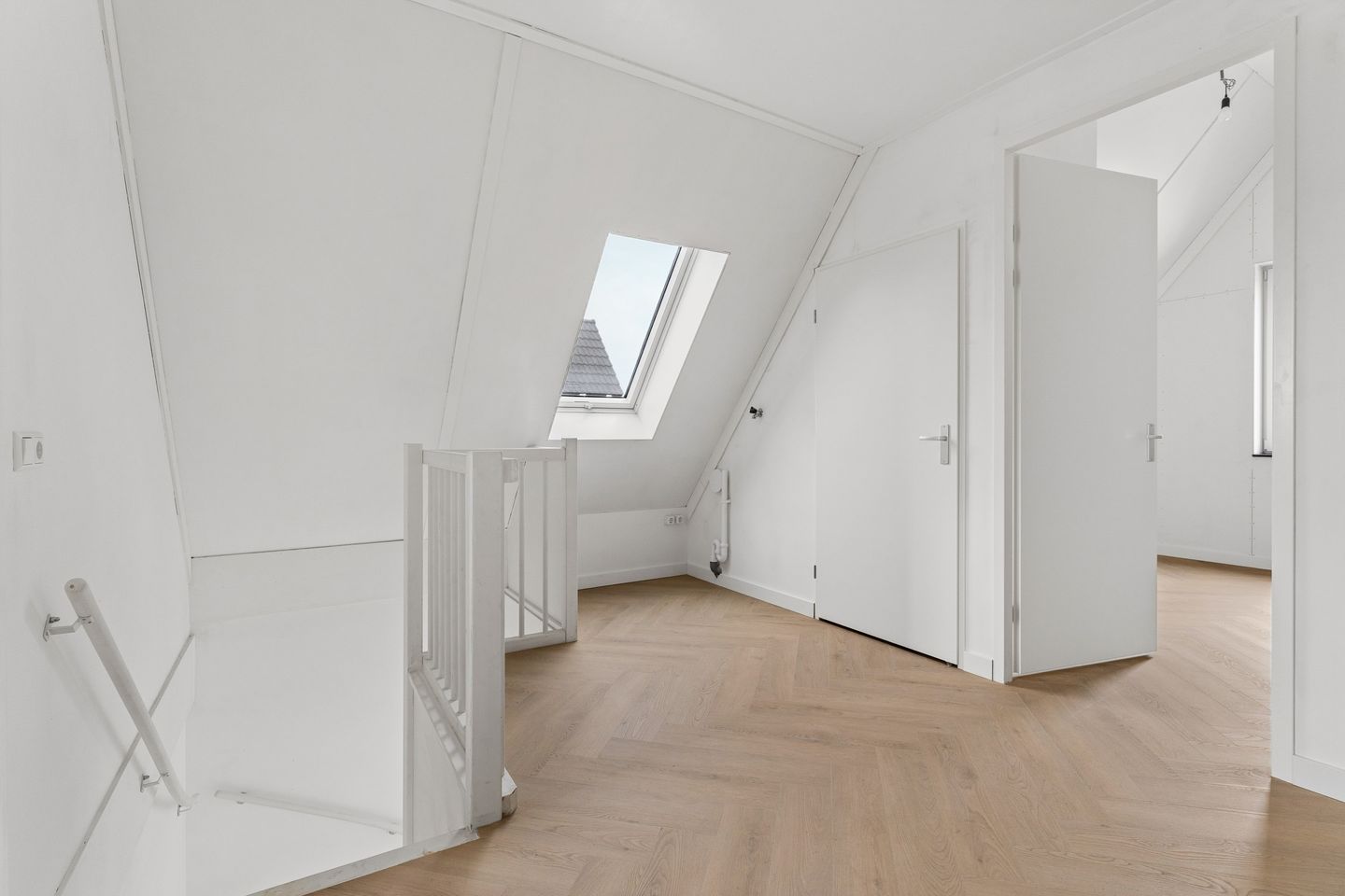 Foto 49 van Moerasorchidee 13