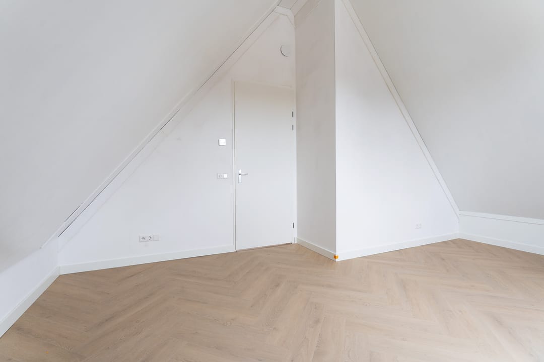 Foto 47 van Moerasorchidee 13