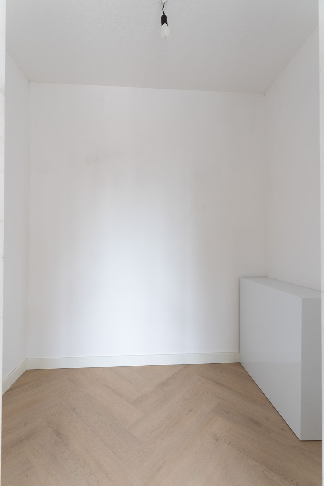 Foto 41 van Moerasorchidee 13
