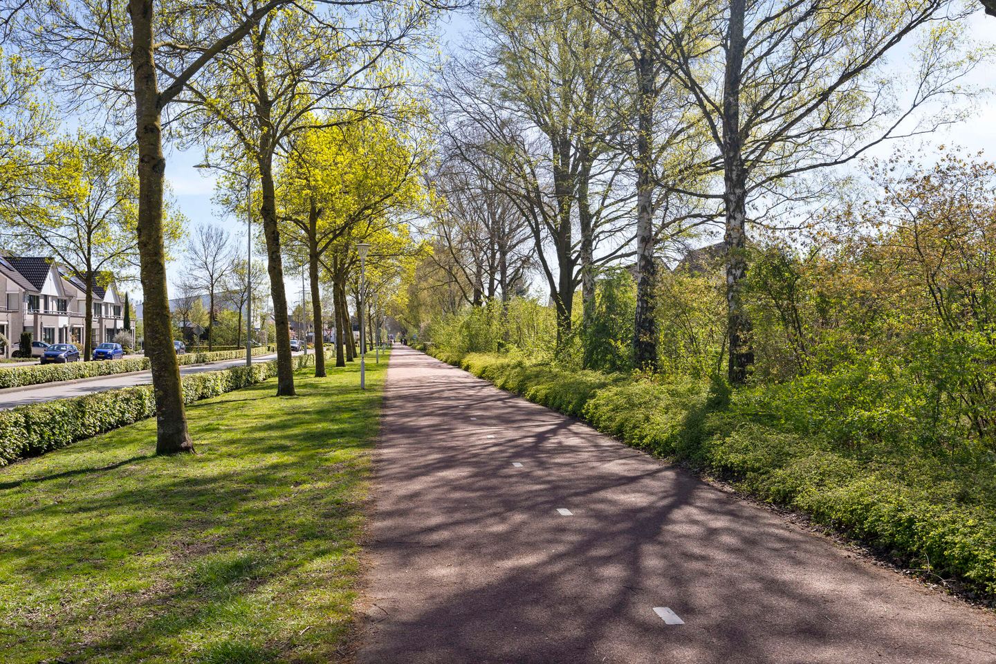 Foto 44 van Pootvelden 15