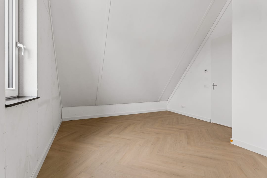 Foto 46 van Moerasorchidee 13