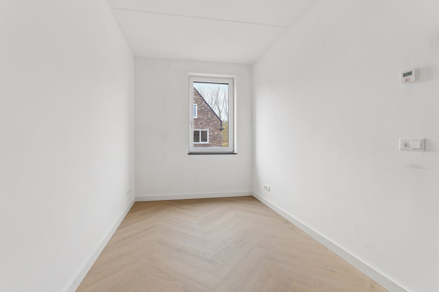 Foto 40 van Moerasorchidee 13