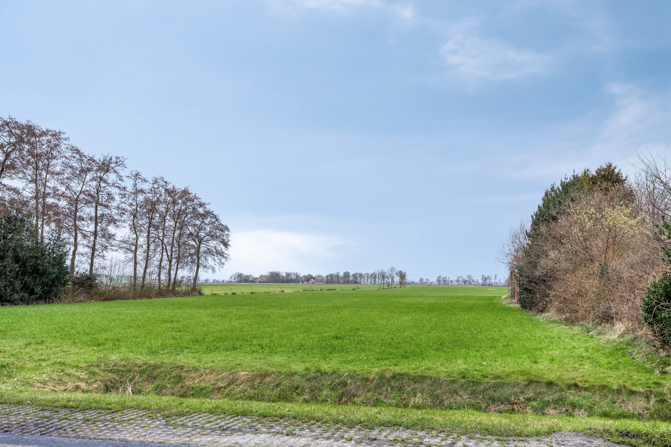 Foto 81 van De Leijen 34