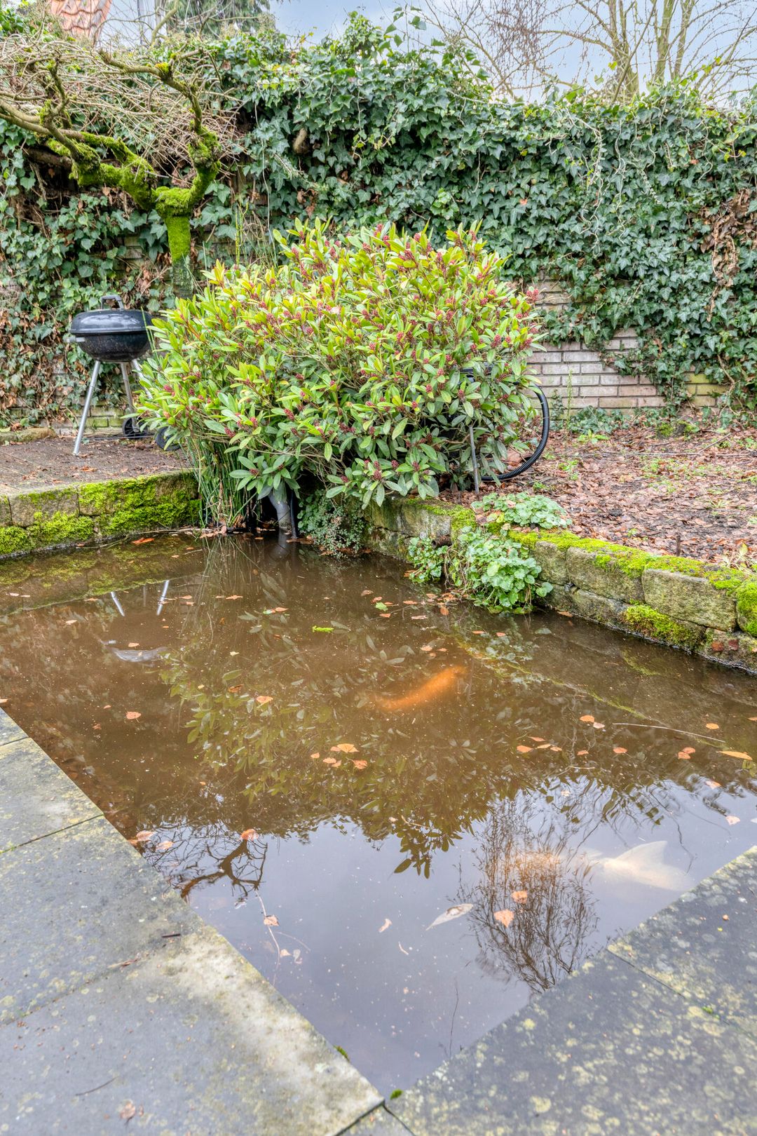 Foto 56 van President Reitzlaan 24