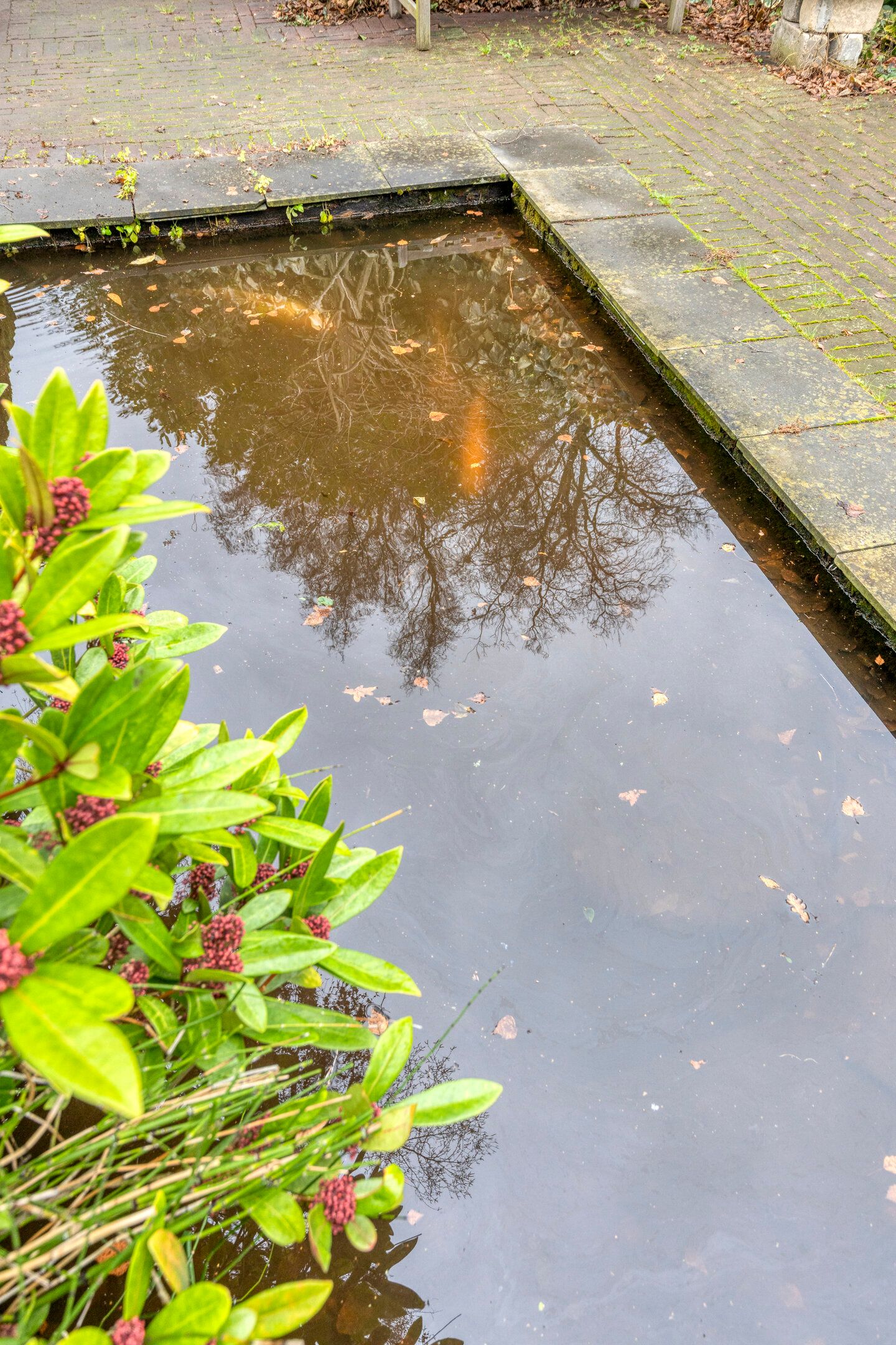 Foto 55 van President Reitzlaan 24