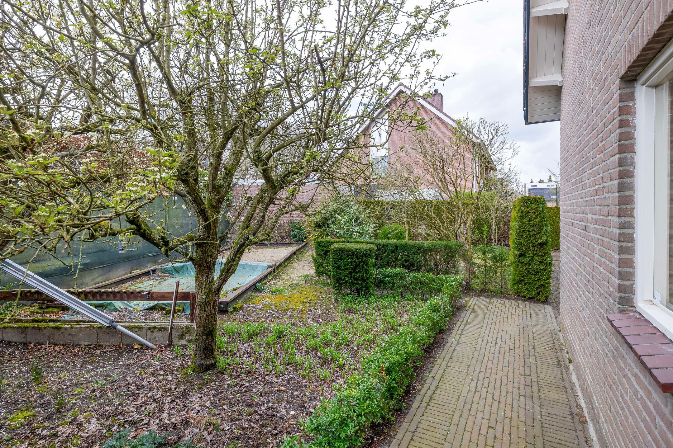 Foto 30 van Kortenaerstraat 28