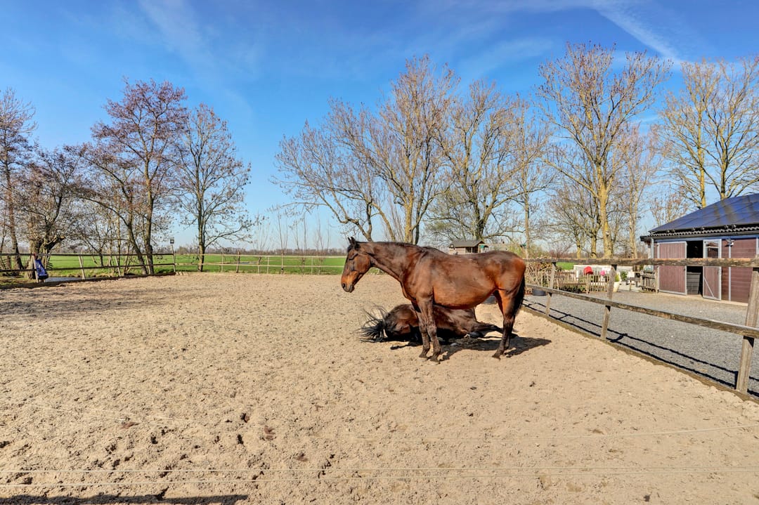 Foto 43 van Noordzijdseweg 193