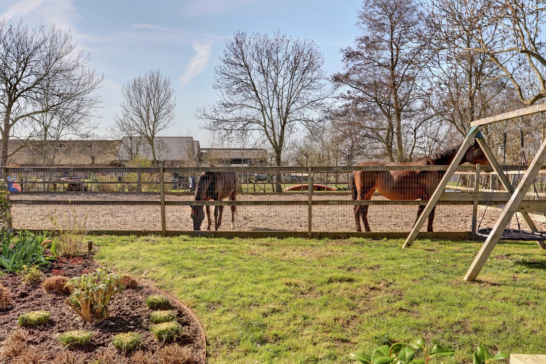 Foto 53 van Noordzijdseweg 193