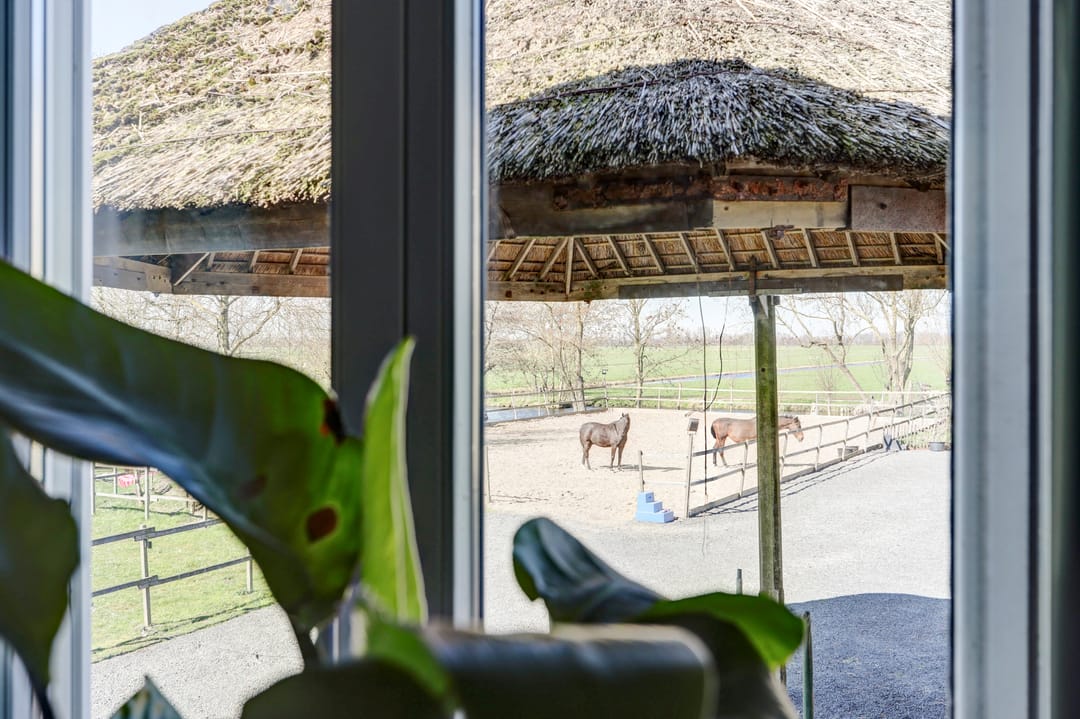 Foto 28 van Noordzijdseweg 193