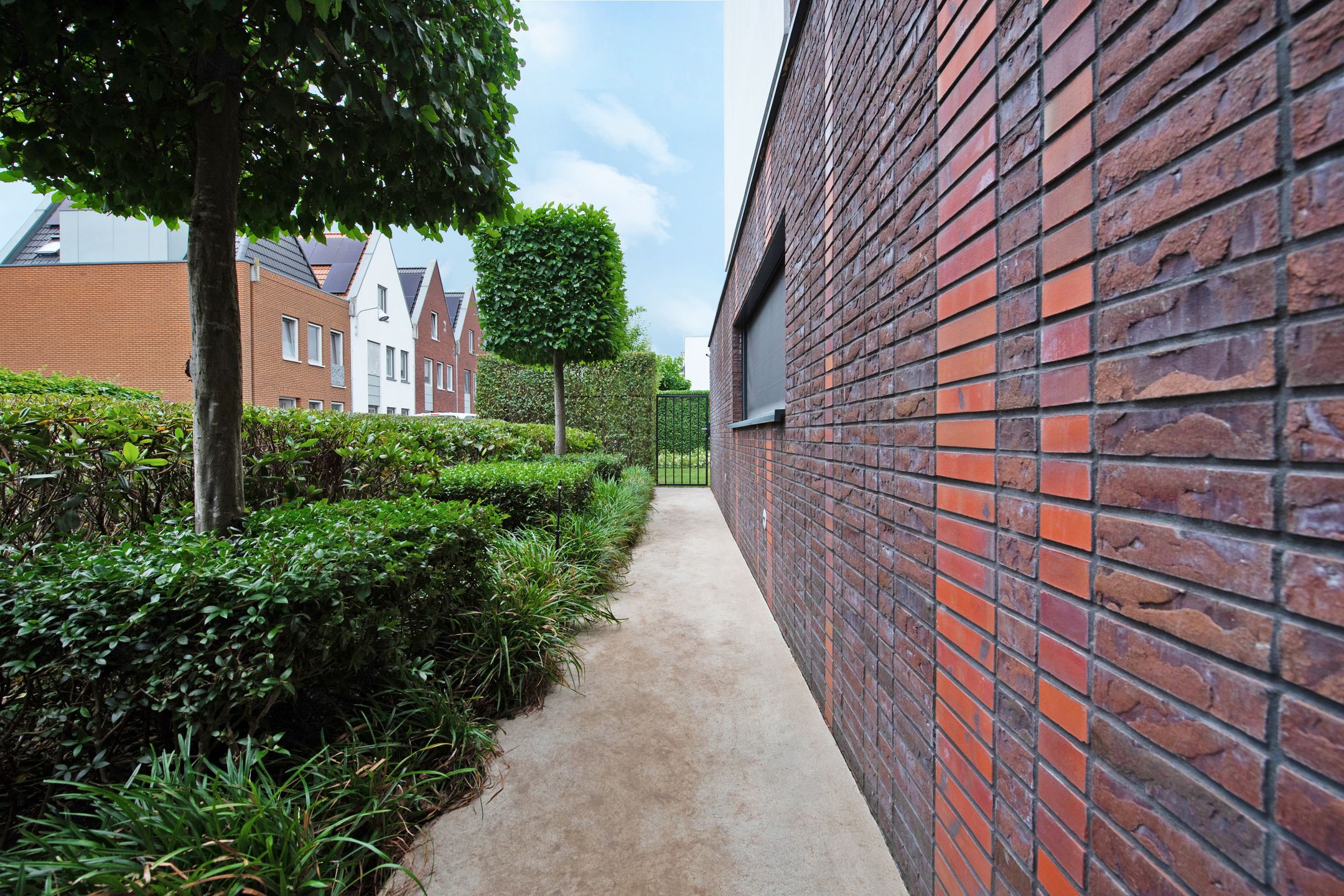 Foto 60 van Baak van Petten 16