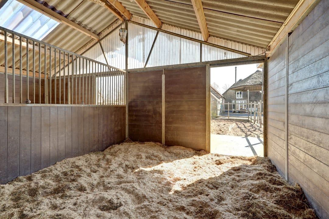 Foto 41 van Noordzijdseweg 193