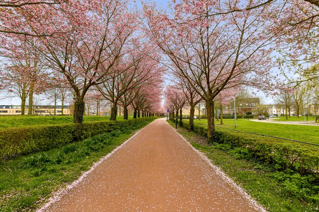 Foto 47 van Centraalspoor 25