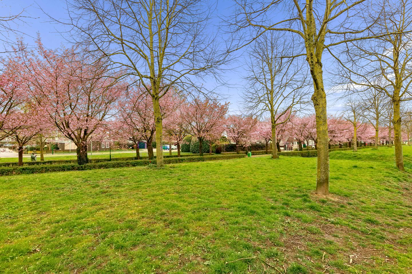 Foto 49 van Centraalspoor 25