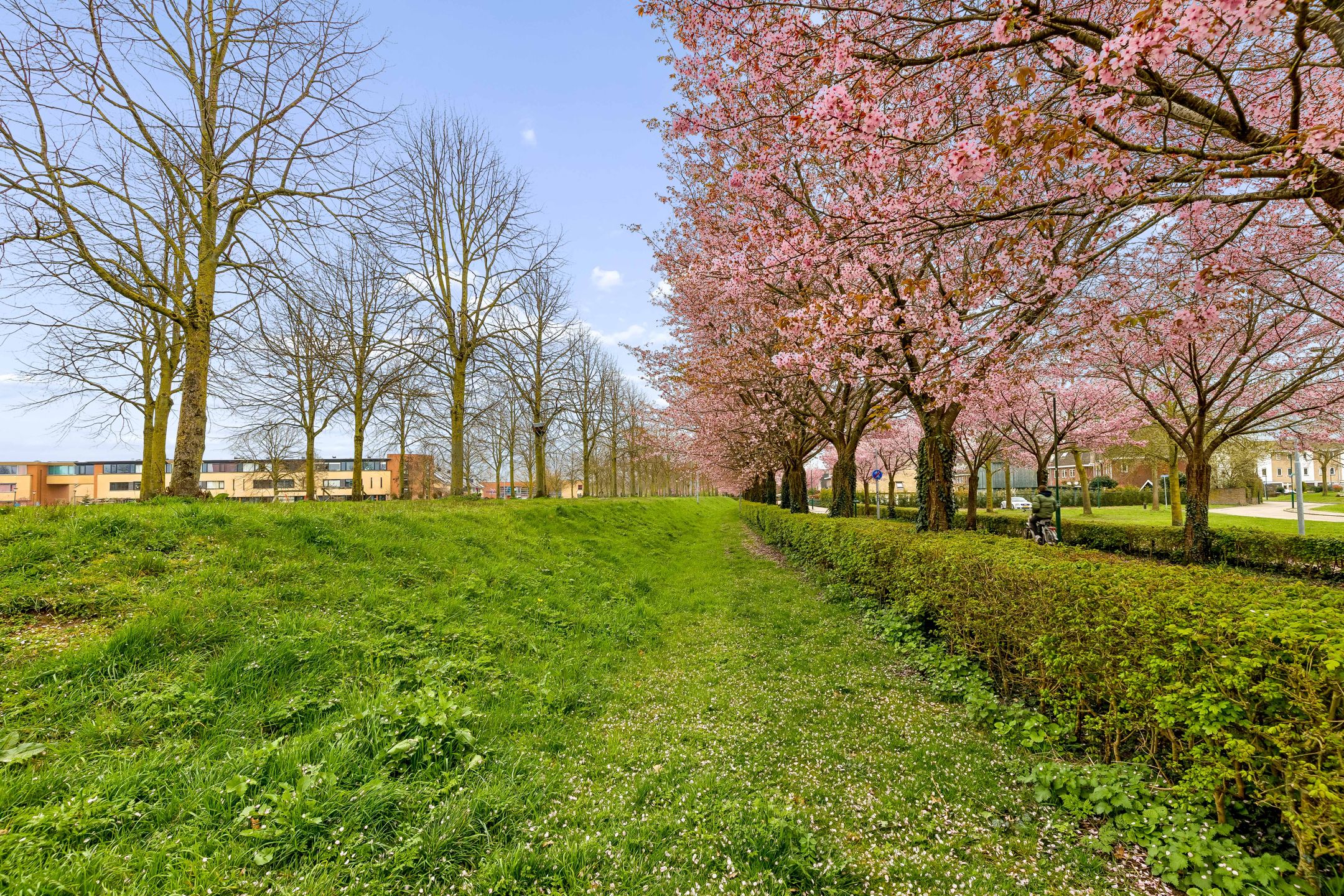 Foto 48 van Centraalspoor 25