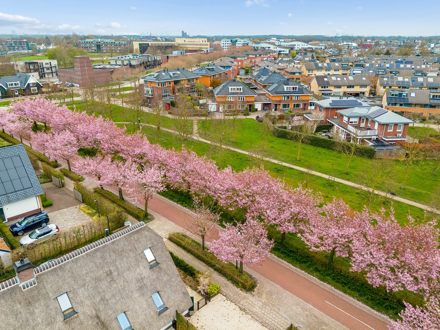 Foto 50 van Centraalspoor 25