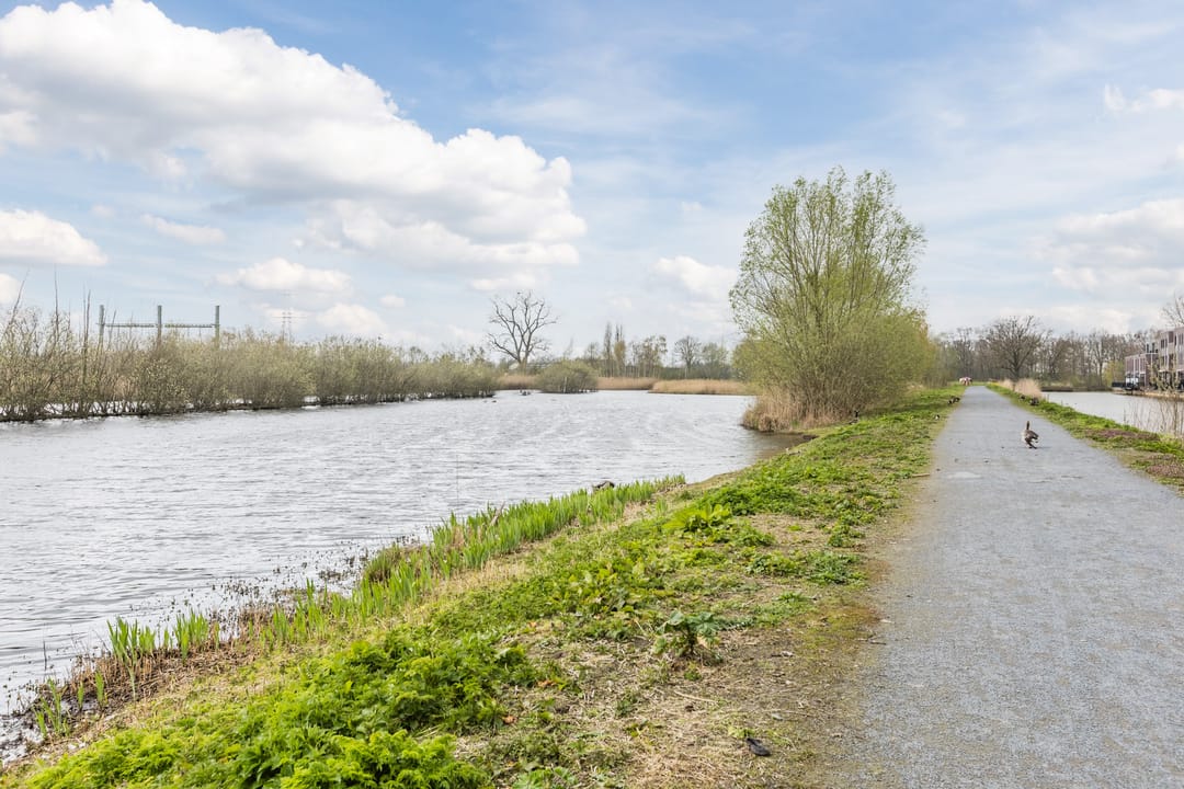 Foto 38 van Priemkruid 1