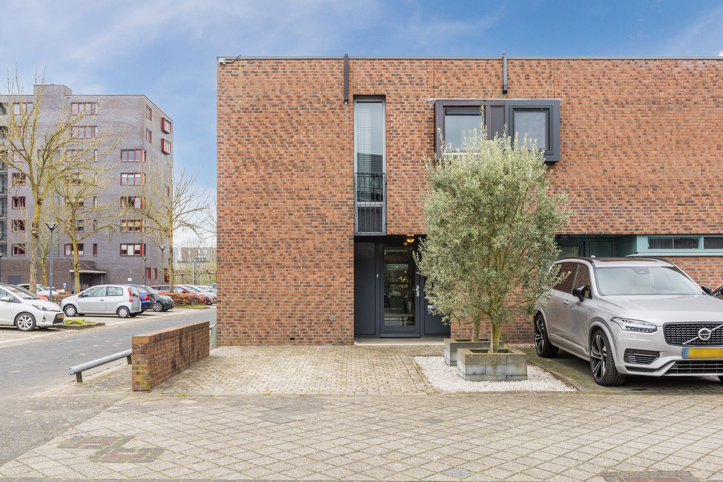 Foto 4 van Priemkruid 1