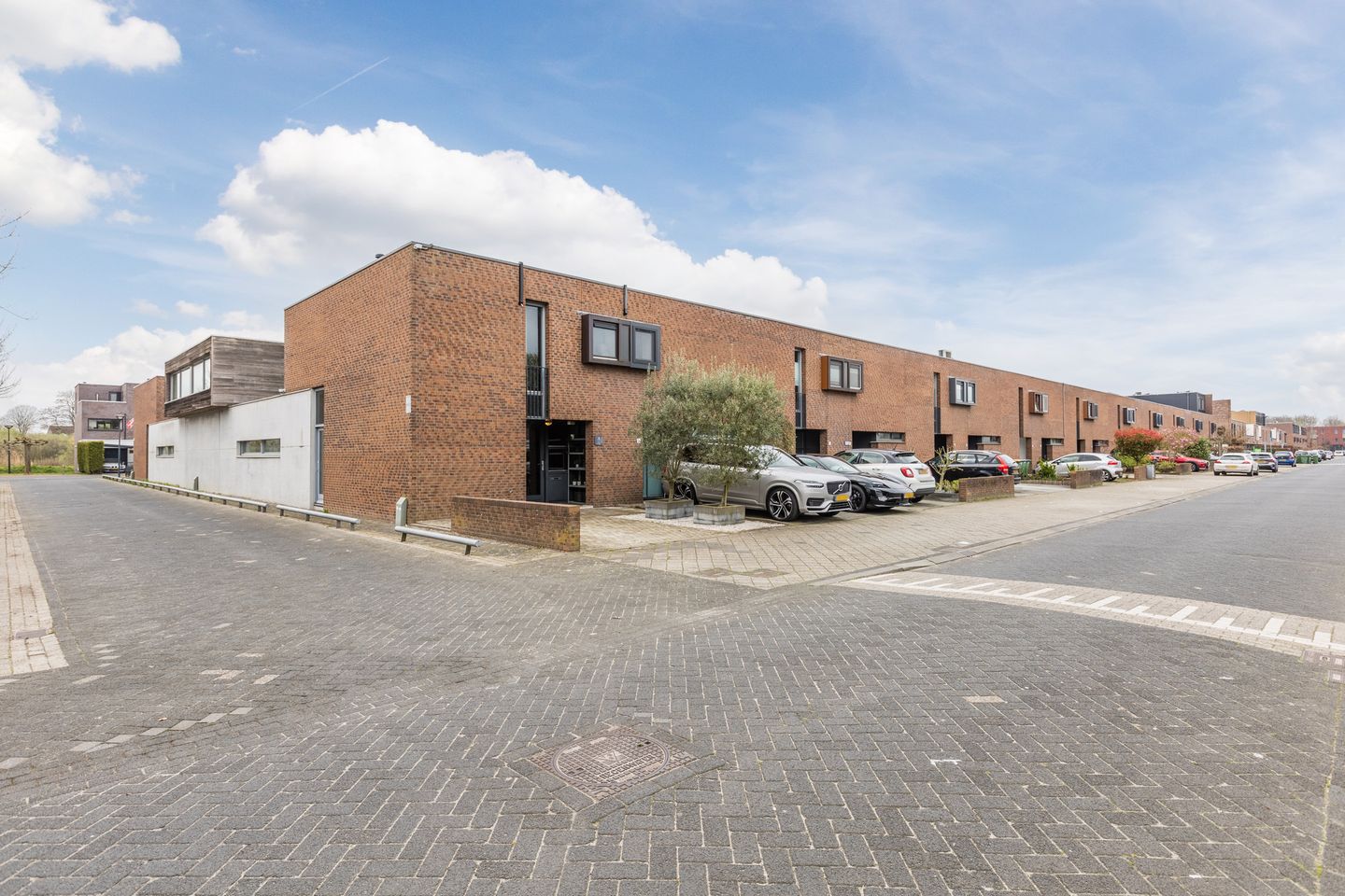 Foto 35 van Priemkruid 1