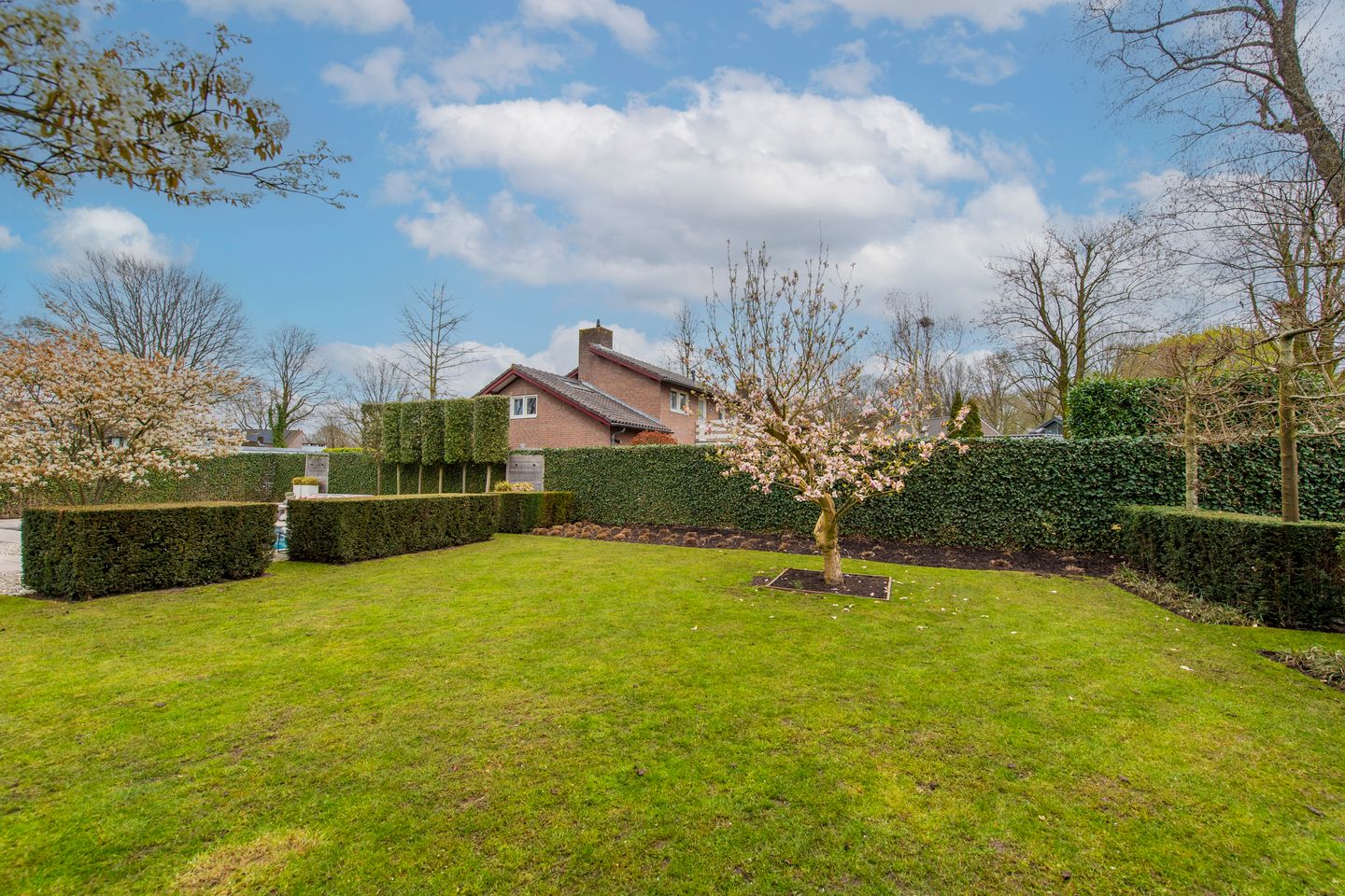 Foto 64 van Middelgraaf 42