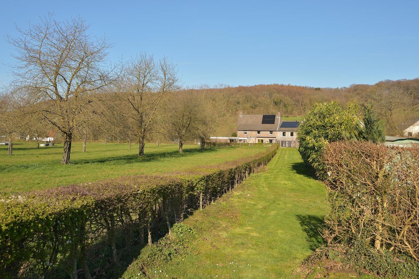 Foto 55 van Dorpsstraat 53