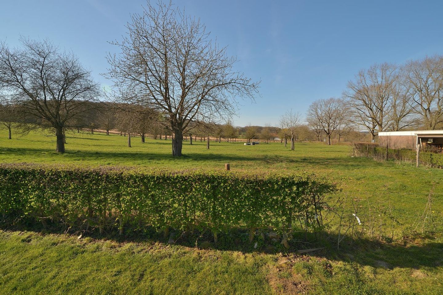 Foto 50 van Dorpsstraat 53