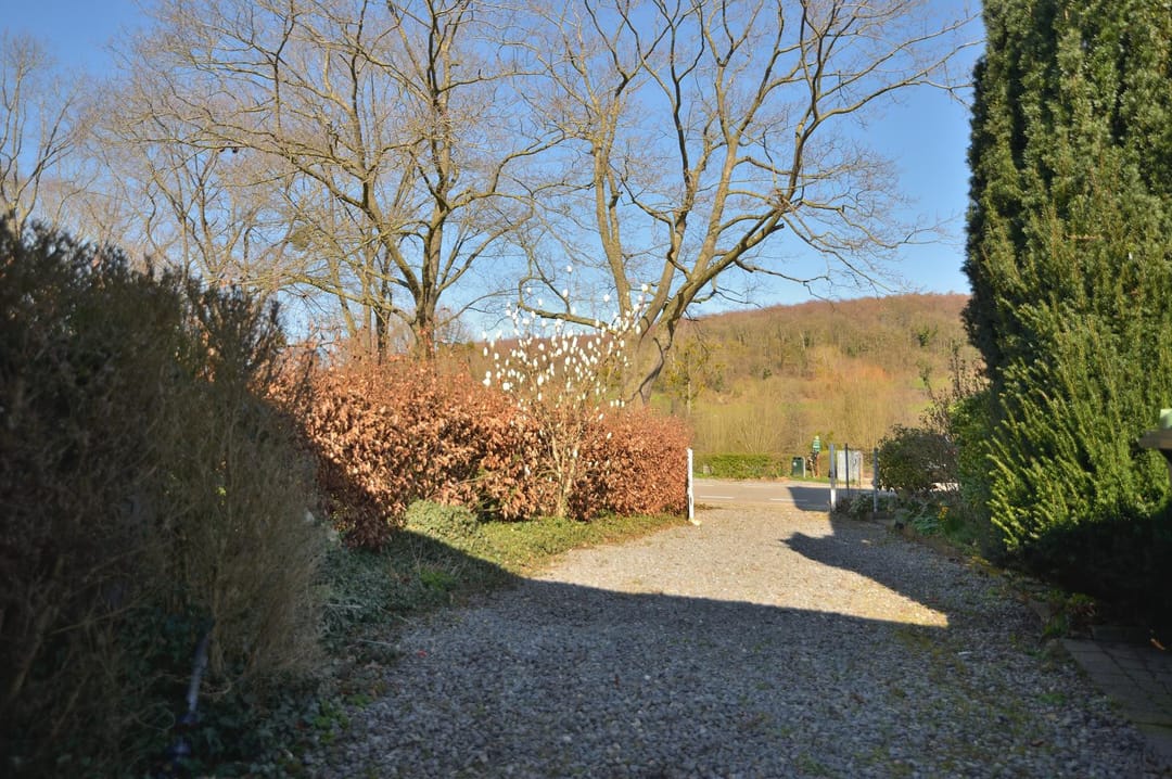 Foto 43 van Dorpsstraat 53