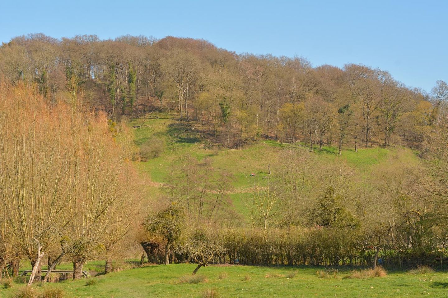 Foto 59 van Dorpsstraat 53