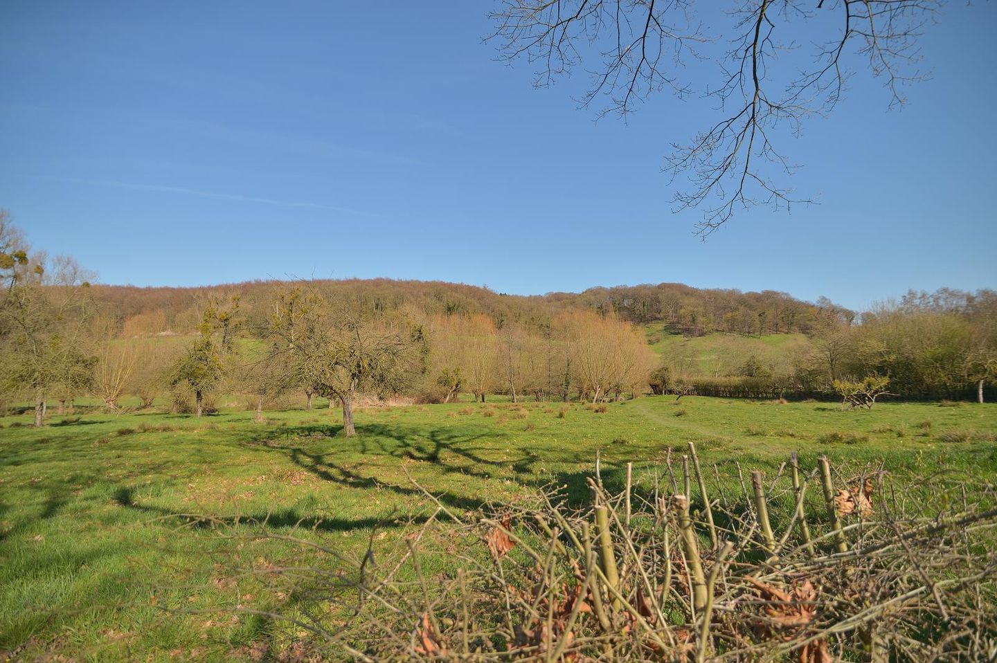 Foto 14 van Dorpsstraat 53