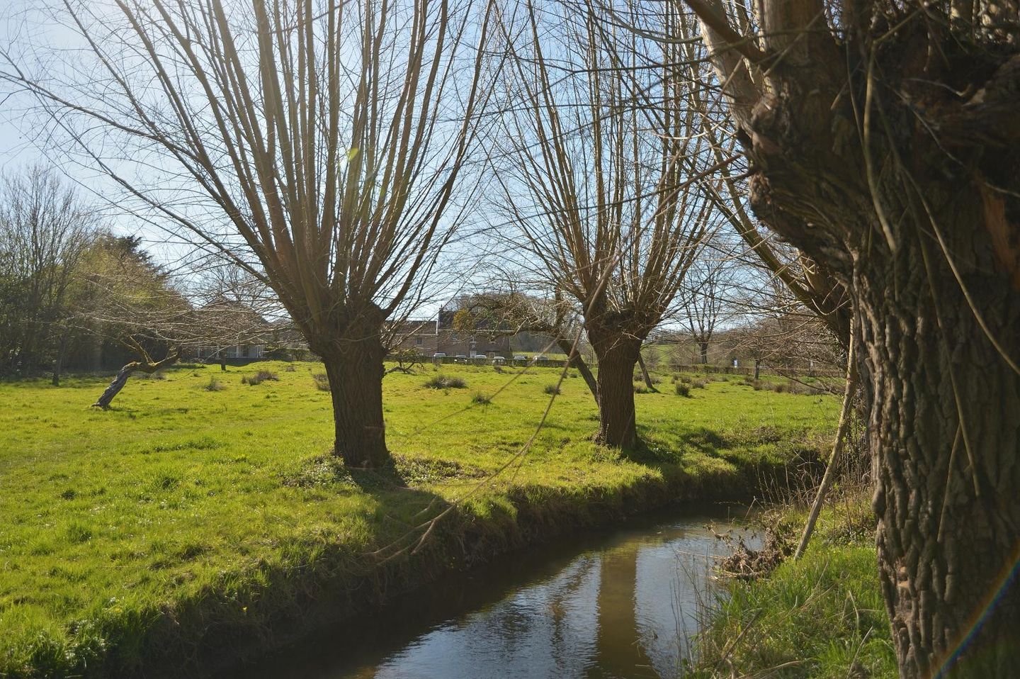 Foto 4 van Dorpsstraat 53