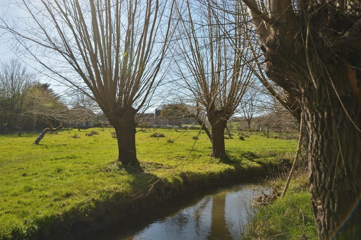 Foto 4 van Dorpsstraat 53