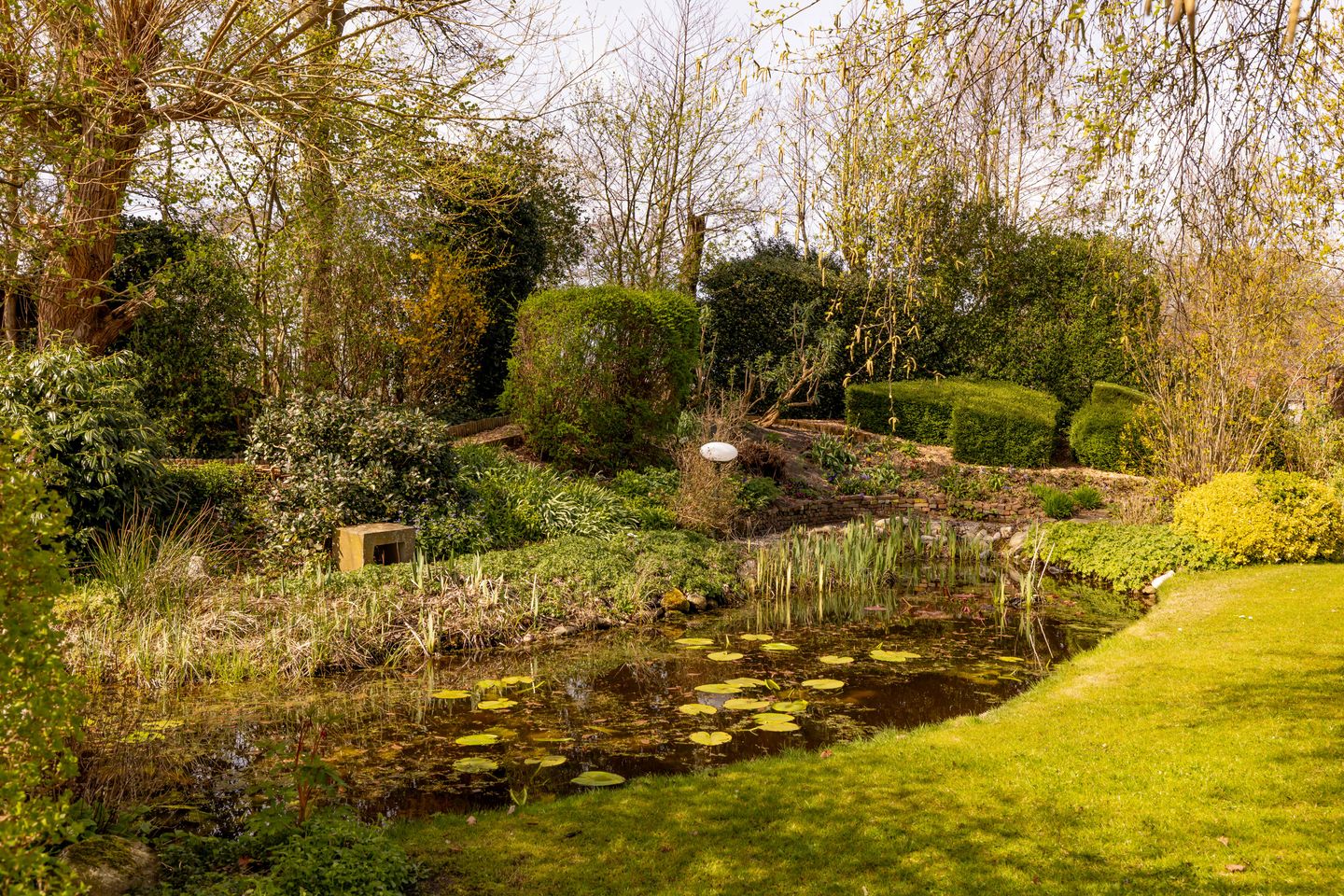 Foto 79 van Vuile Riete 40