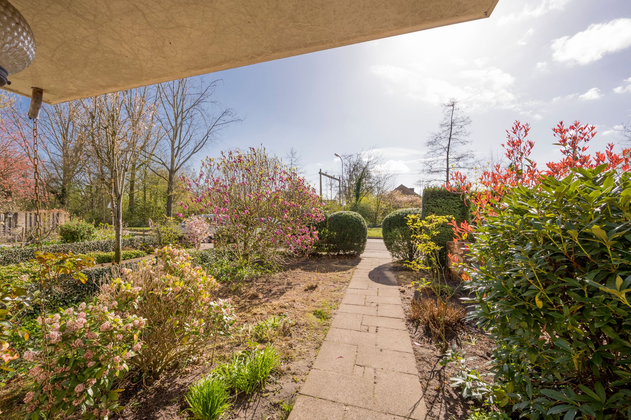 Foto 36 van Hoogstraat 61