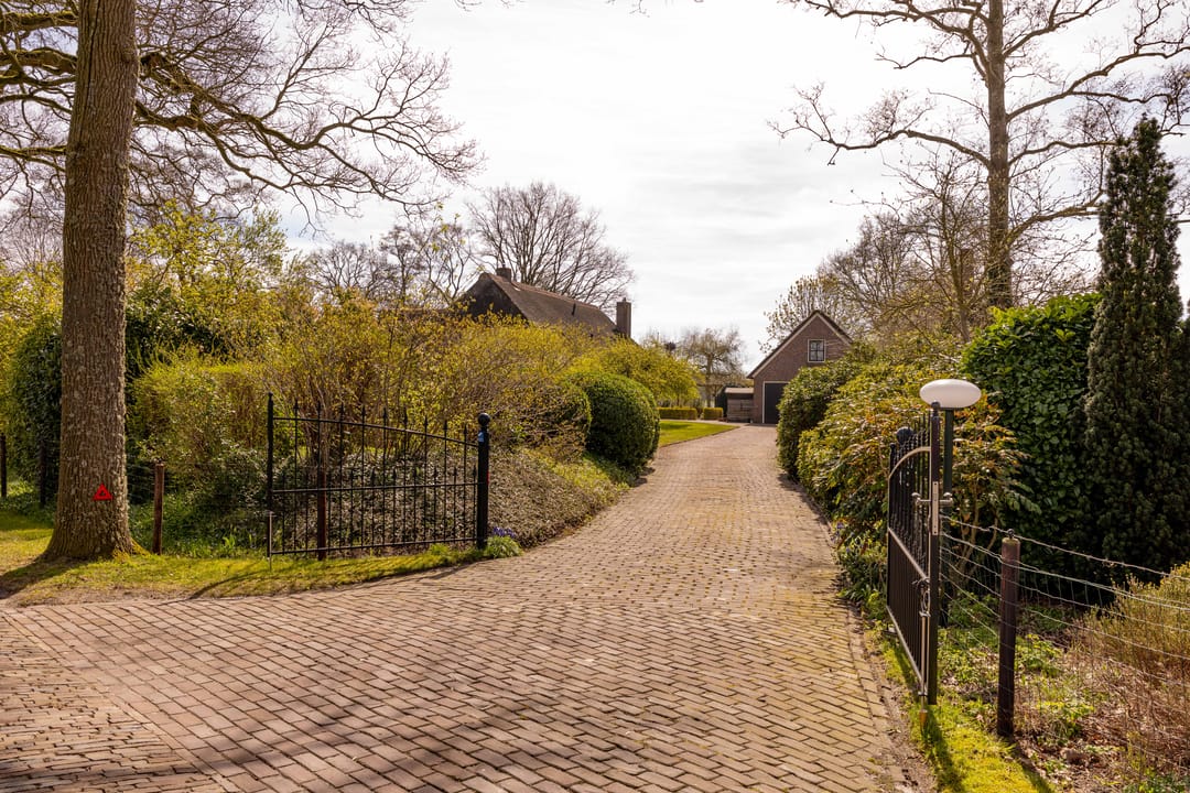 Foto 92 van Vuile Riete 40