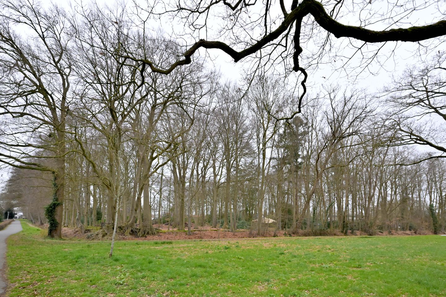 Photo 34 of Kolkmansweg 34