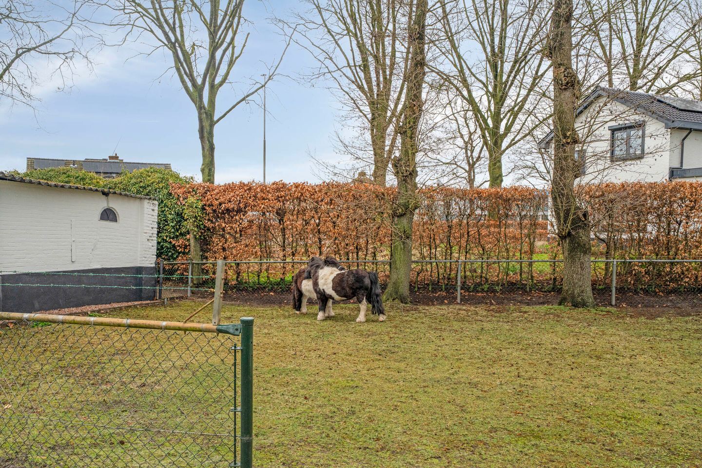 Photo 55 of Zuiderzeestraatweg Oost 9