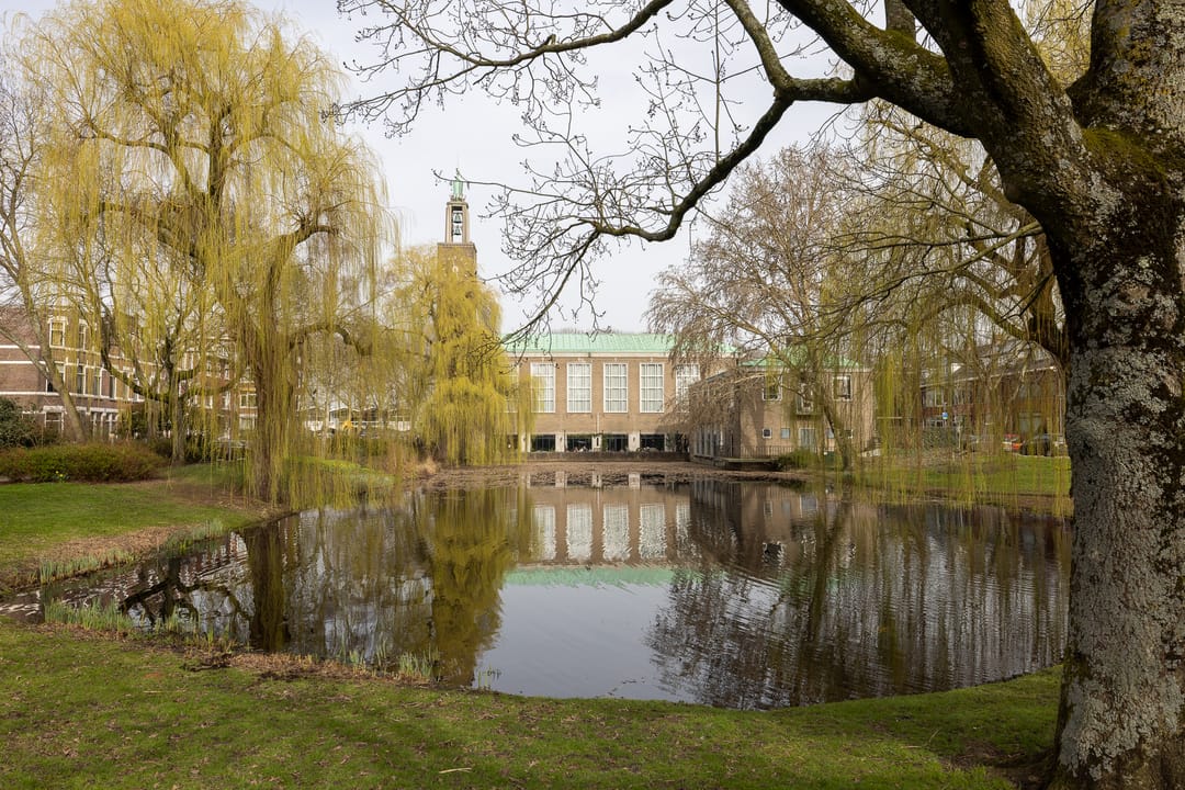 Photo 41 of Lisplein 17