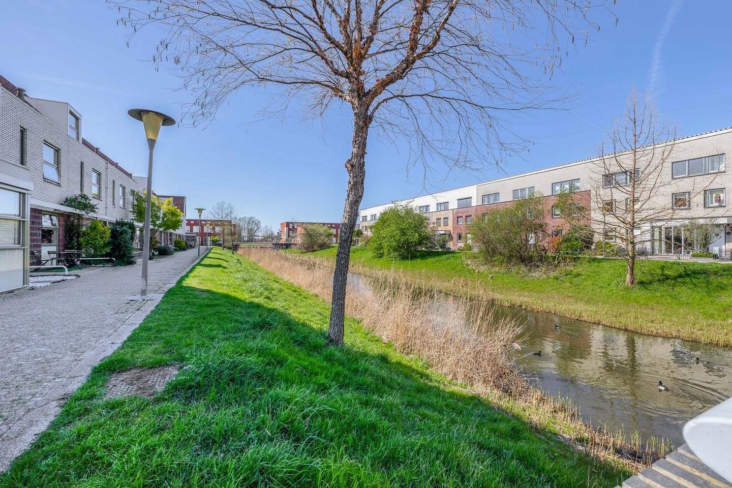 Foto 34 van Waarderstraat 109