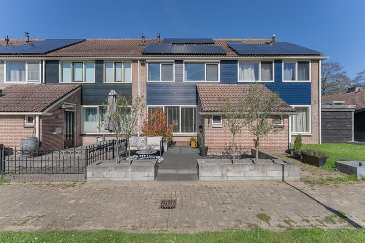 Duiker 106 main image