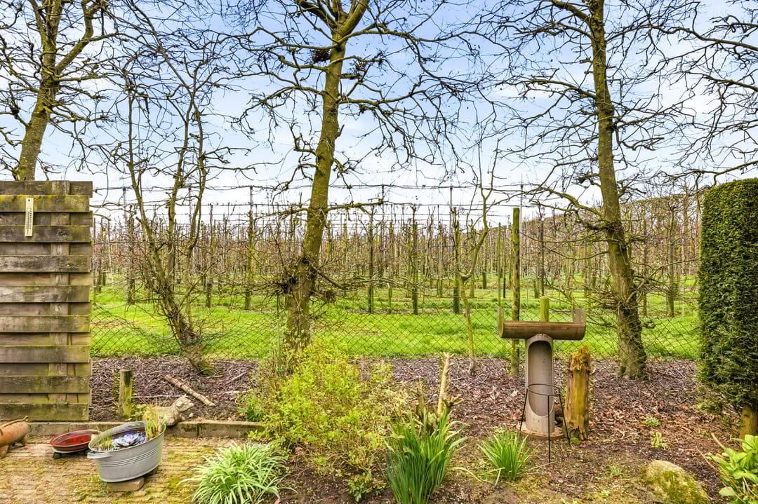 Photo 43 of Oude Rijksweg 110