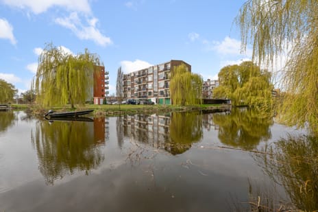 Zwaanstraat thumbnail