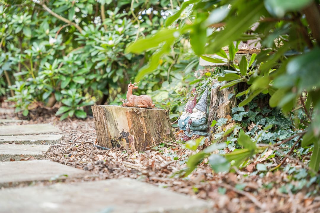 Foto 38 van Magdalenastraat 13-A