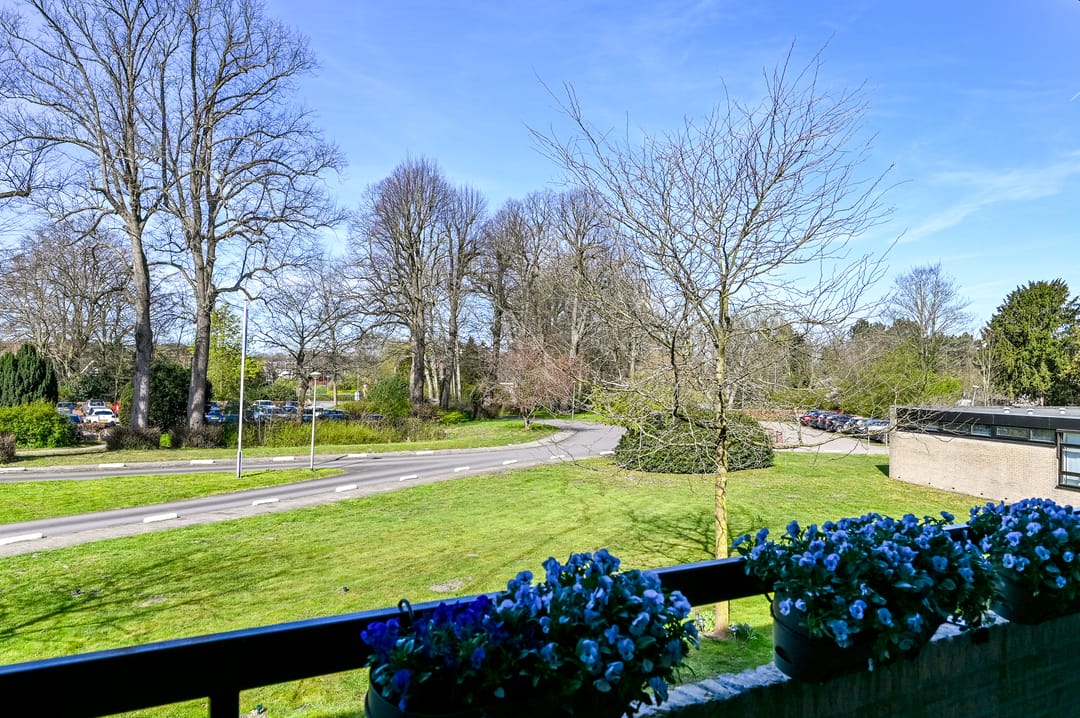 Foto 16 van Binnenweg 6-F117