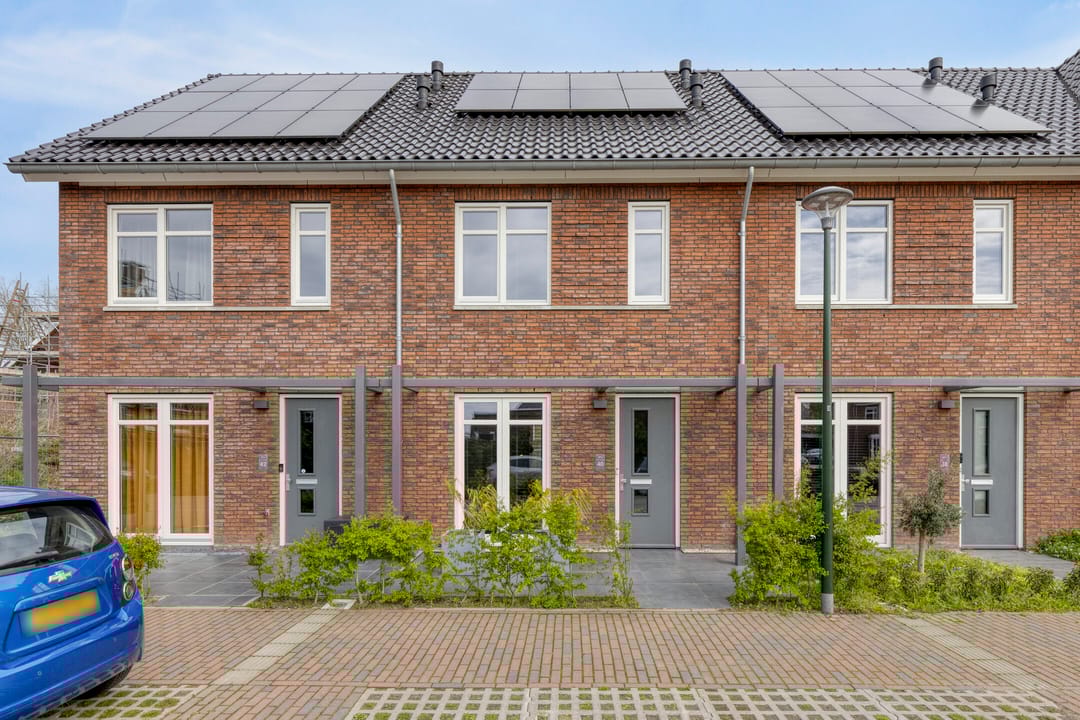 Foto 1 van Steenmarter 40