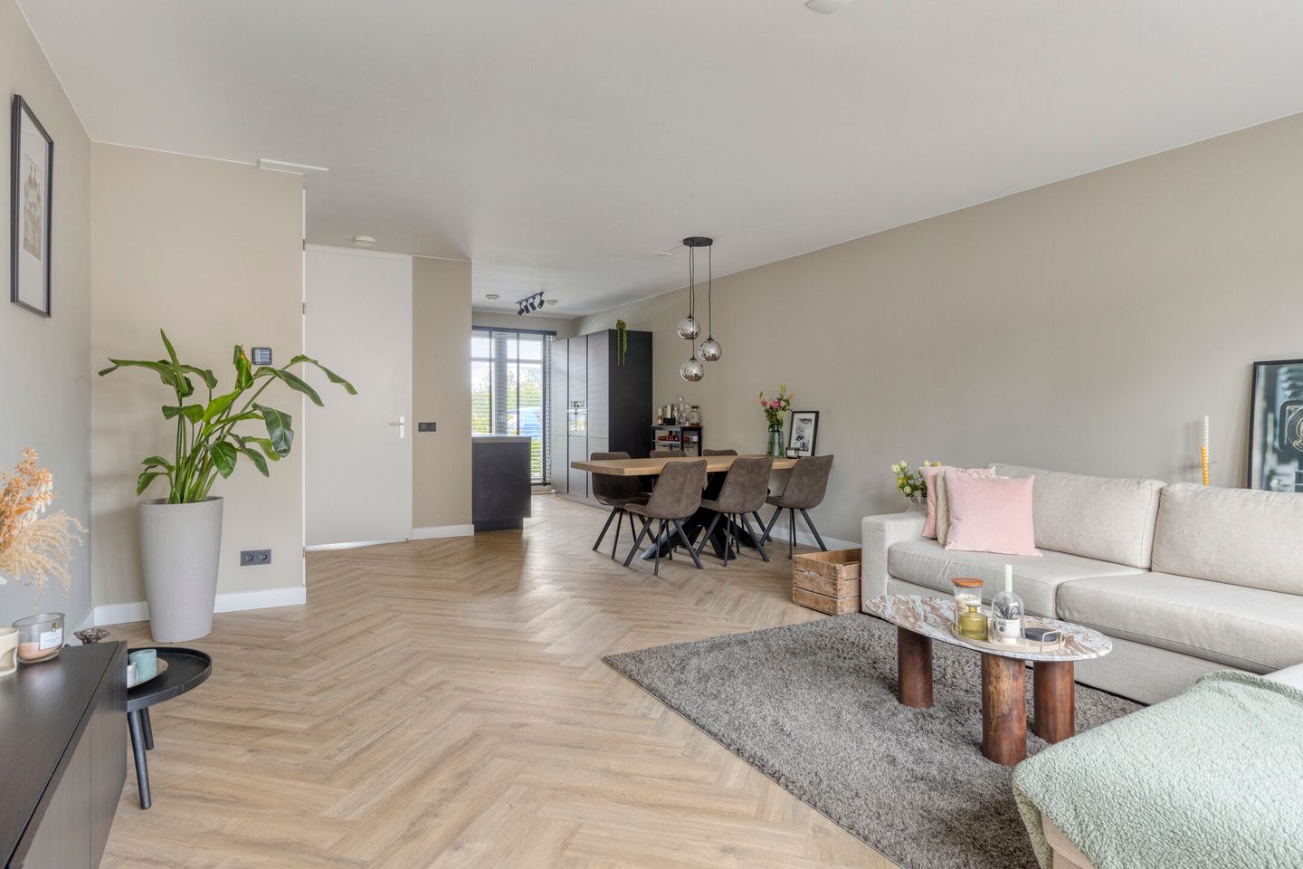 Foto 5 van Steenmarter 40