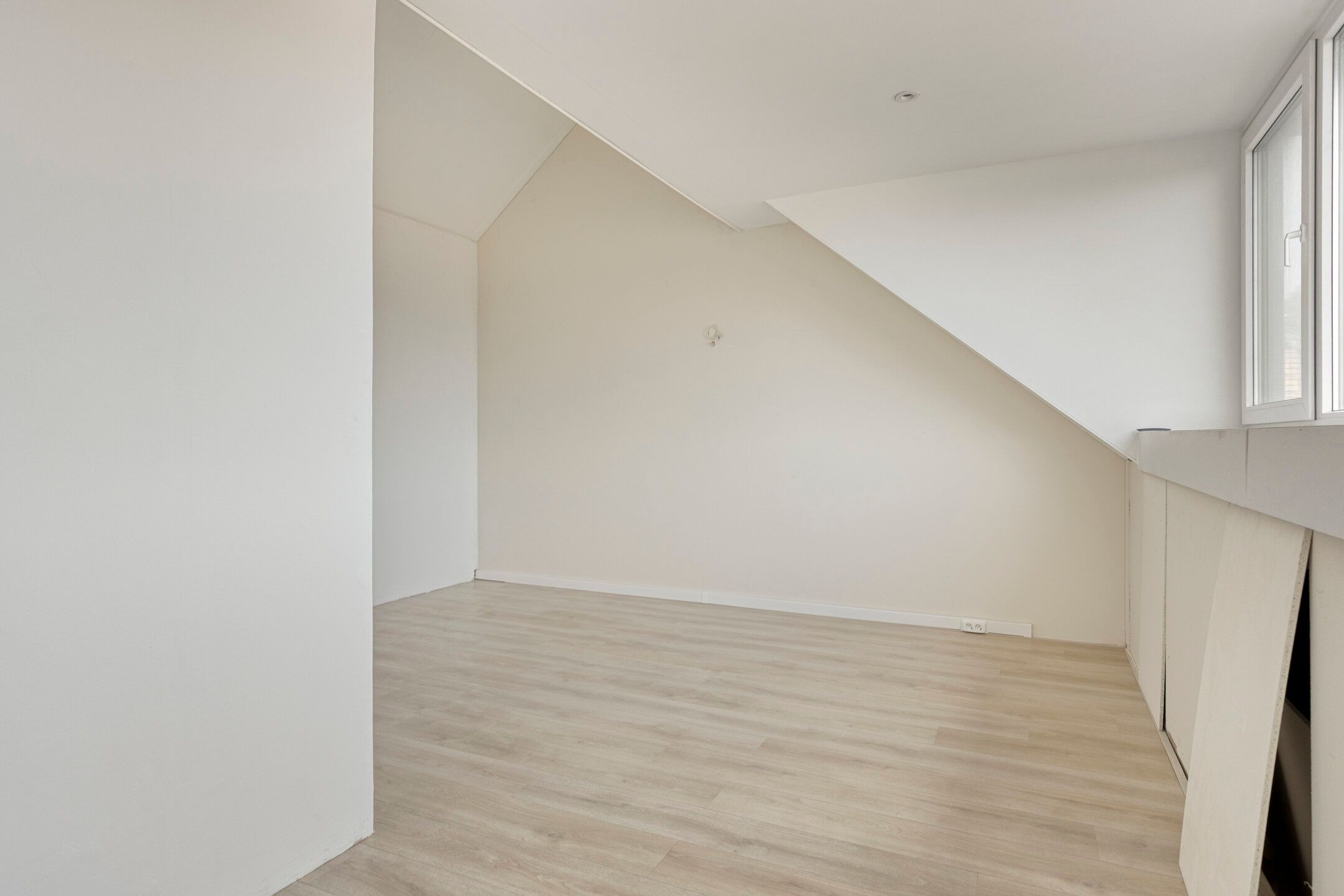 Foto 24 van Steenmarter 40