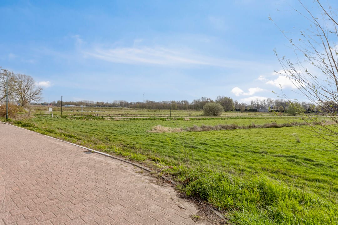 Foto 31 van Steenmarter 40