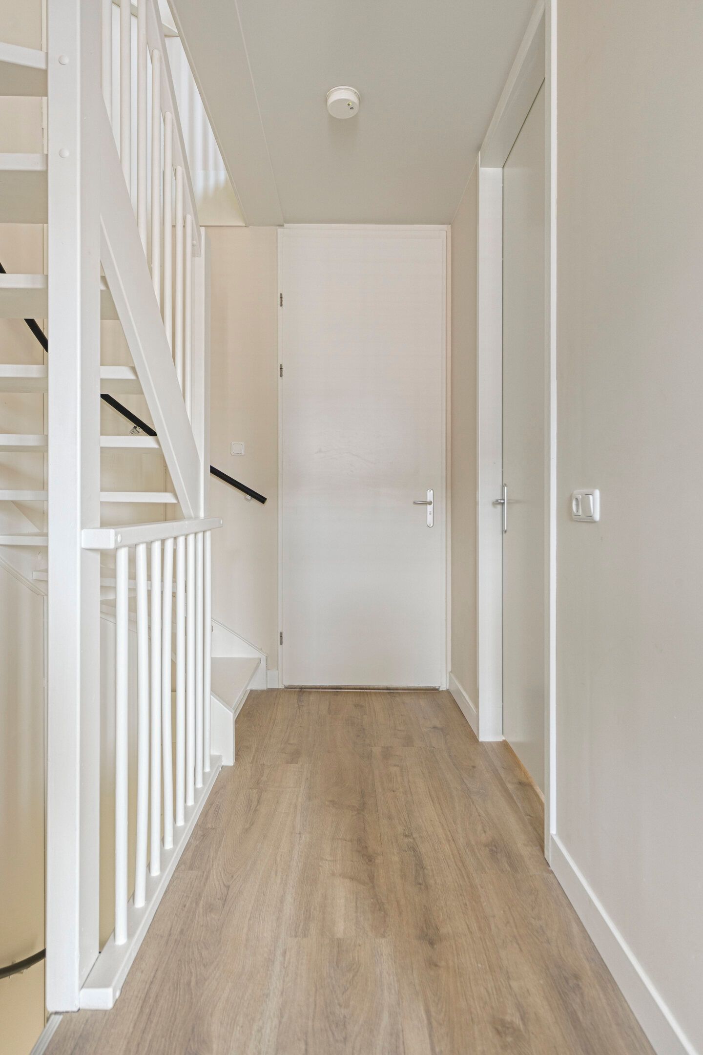 Foto 12 van Steenmarter 40