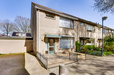 undefined main image